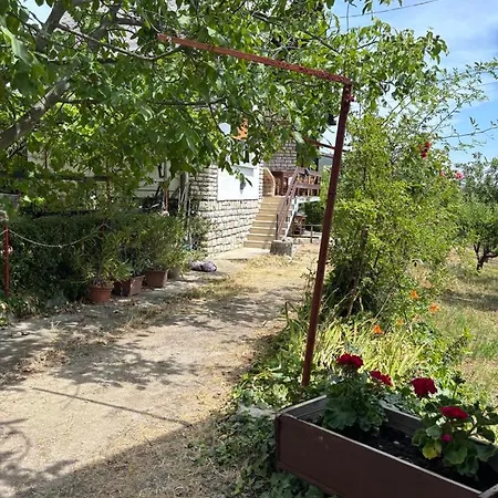 Szolovirag Vendeghaz Holiday home